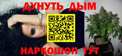 крисы Краснодар